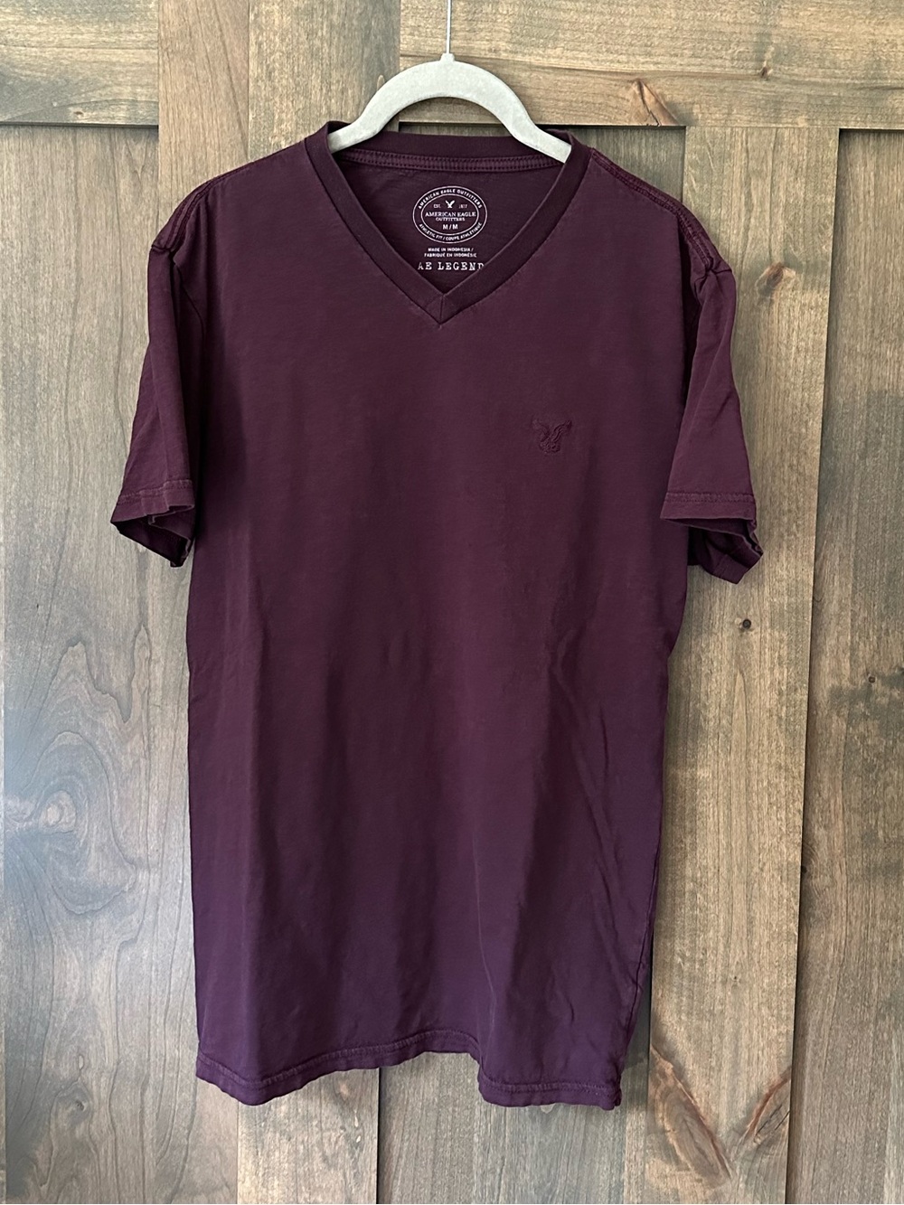 American Eagle Outfitters Men’s V-neck Tee